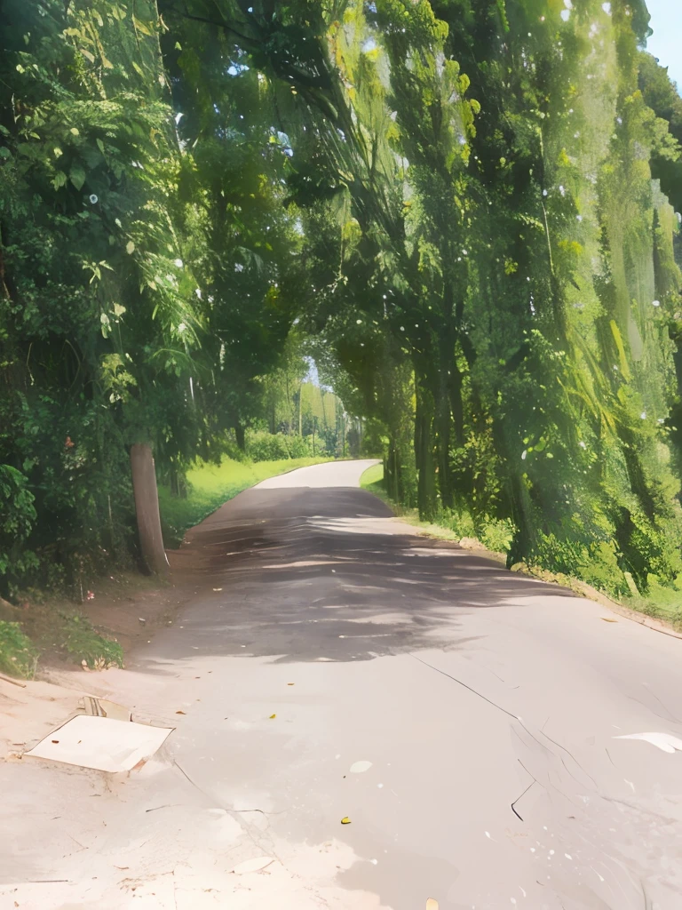 There is a road that has a lot of trees on both sides, Beco Verde, linden, becos verdes, caminho grande, Salgueiros chorando, caminho, Olhando para a estrada, vines hanging from trees, Garagem, Estrada do Jardim, Pédula Betula, Salgueiros, Grown trees, Walking among the trees, completamente coberto de videiras, lots of trees
