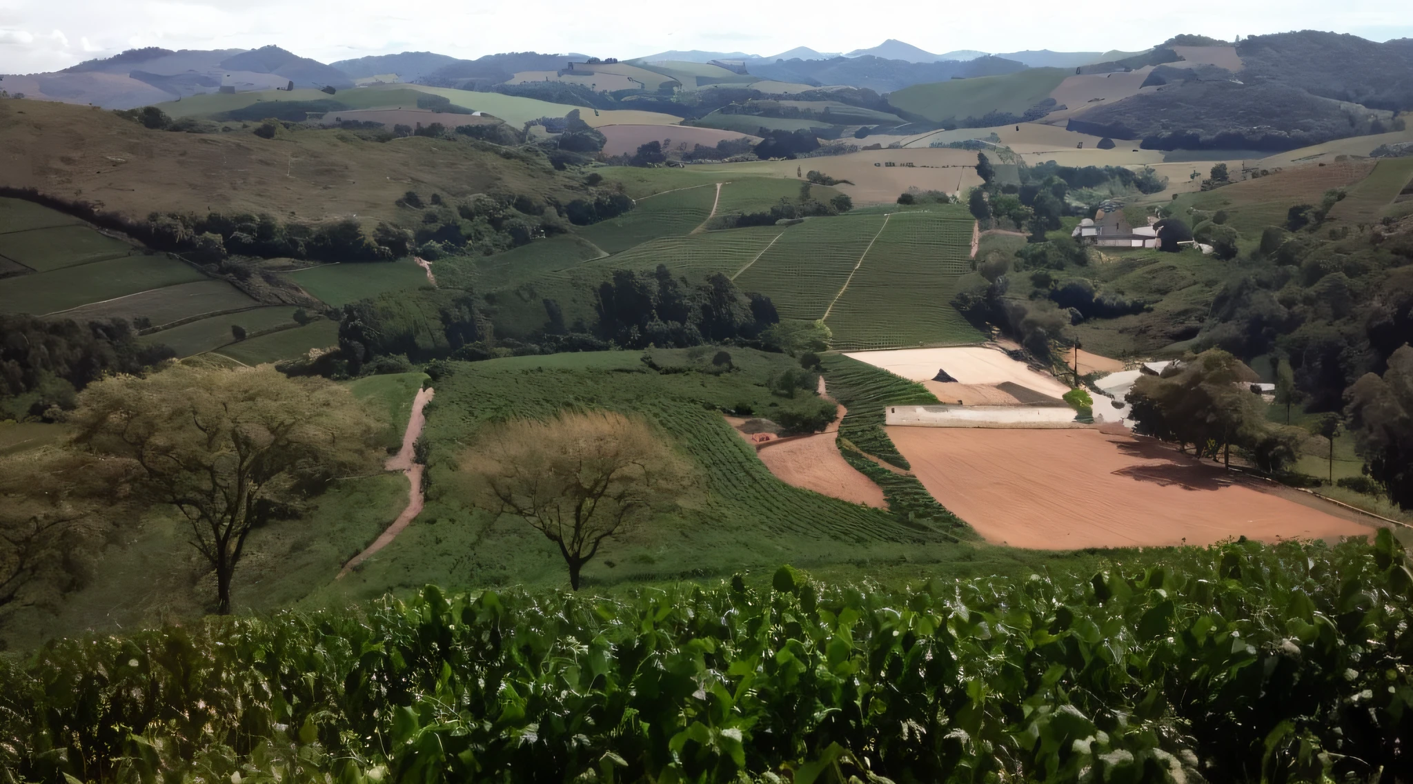 There is a view of a farm and a field from a hill, Directed by: Willian Murai, por Romain brook, idyllic and fruitful land, Vale Verde Abaixo, olhando parcialmente para a esquerda, Foto tirada de longe, vista de um pouco acima, Directed by: John Wilson, Lush farmland, Directed by: Robert Brackman, Directed by: Jacob Steinhardt, Directed by: Tom Scott RSA