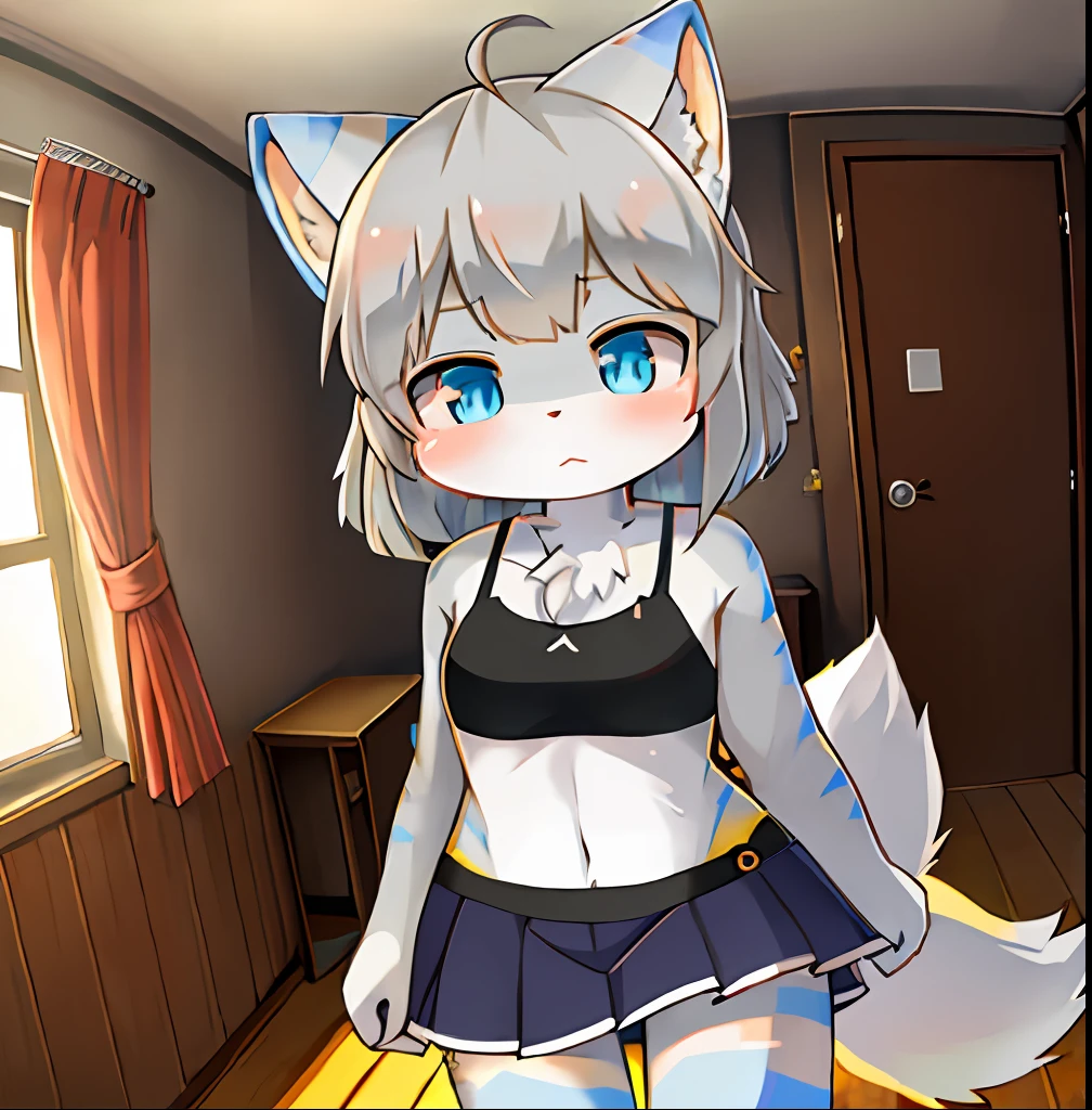 anthro female cat，short  skirt，long whitr hair，eyes with brightness，in a panoramic view，focal point。Detailed background enhancement（0.7），独奏，Furry fortification，Furry female，female focus，anthr，Fluffy tail all over，eBlue eyes，Yellow-fur，Long gray hair，The fur has white stripes on it，Small and cute strengthened，Long canids strengthened（1.2），interiors、the night、borgar（1.1）。