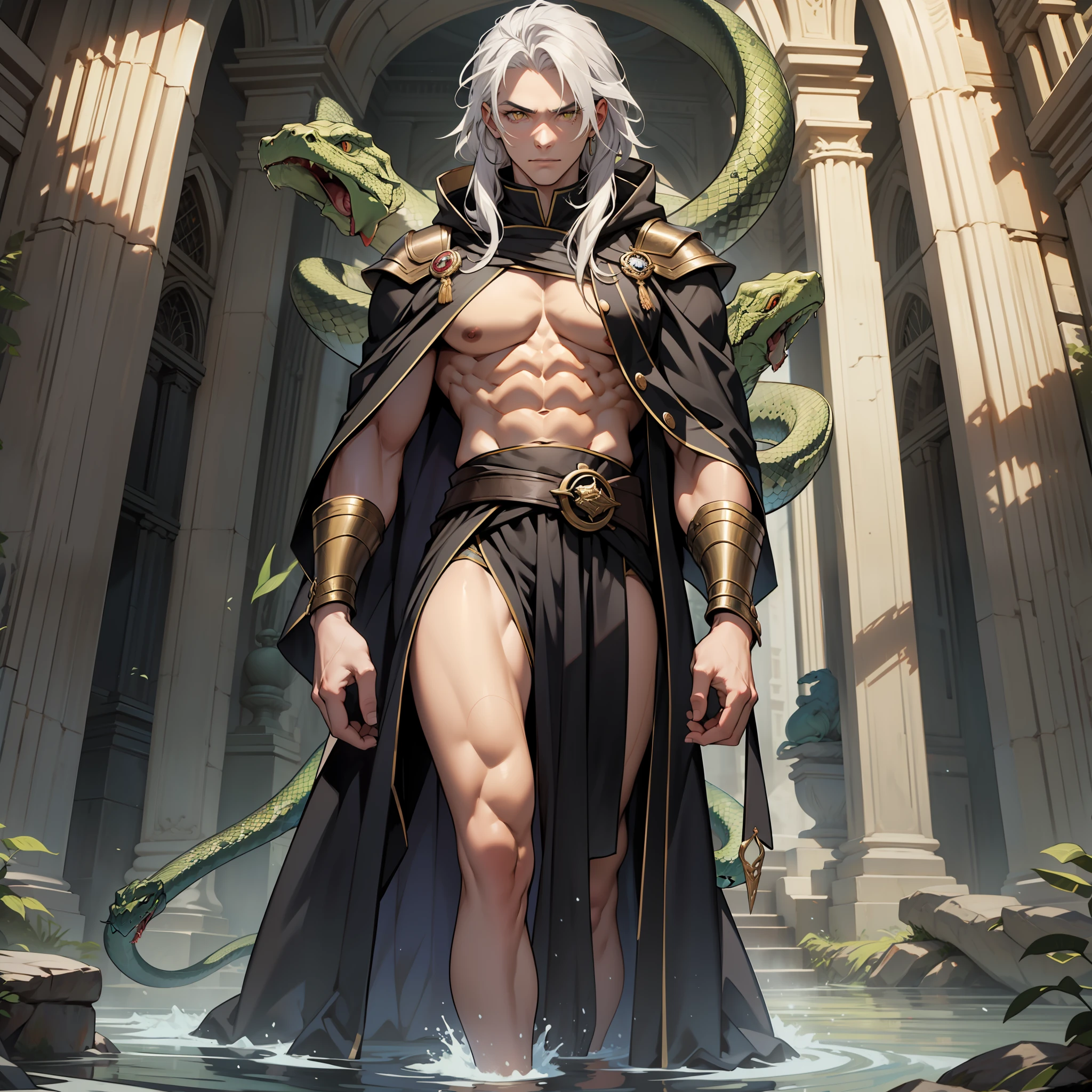 I stand six foot and six inches in height. I have long white hair tied up neatly. My eyes are yellow, with snake-like slits for pupils, like those of the basilisk. My body is sculpted to perfection, like that of an adonis, with muscles that ripple under the sun's light. My skin is bronze-like. I wear a long black silk robe that is adorned with silver trim, which flows behind me like a river when I move my body. Sometimes I wear a cloak draped over my left shoulder, so when I walk it looks like I'm carrying a long serpent in tow.