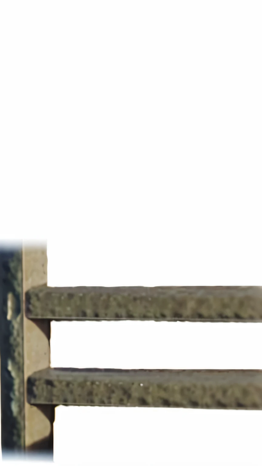 grainy image, very grainy image, close up photograph, grainy low quality, stone, grainy photo, photo taken at night, grainy low quality photograph, middle close up composition, grainy picture, close-up imagery, very grainy, close-up imagery, really close - up shot