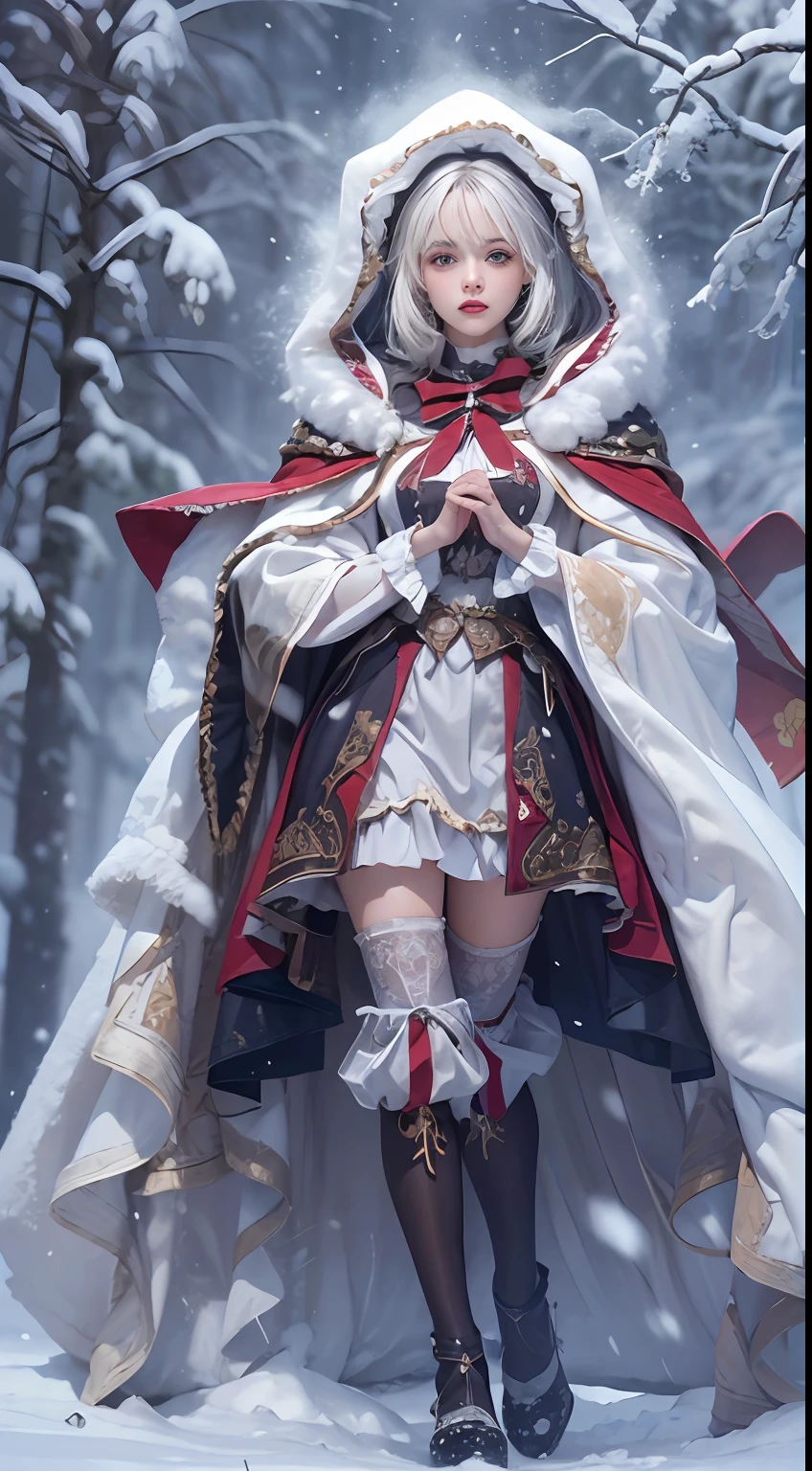 Photorealistic, high resolution, 1 Women, Solo, (Lolita costume),Gorgeous costumes,Face the audience,The upper part of the body,Thighs Beautiful eyes, White hair, ringed eyes, (outside,Heavy snowfall,Cloak,Cover with snow),snowfield