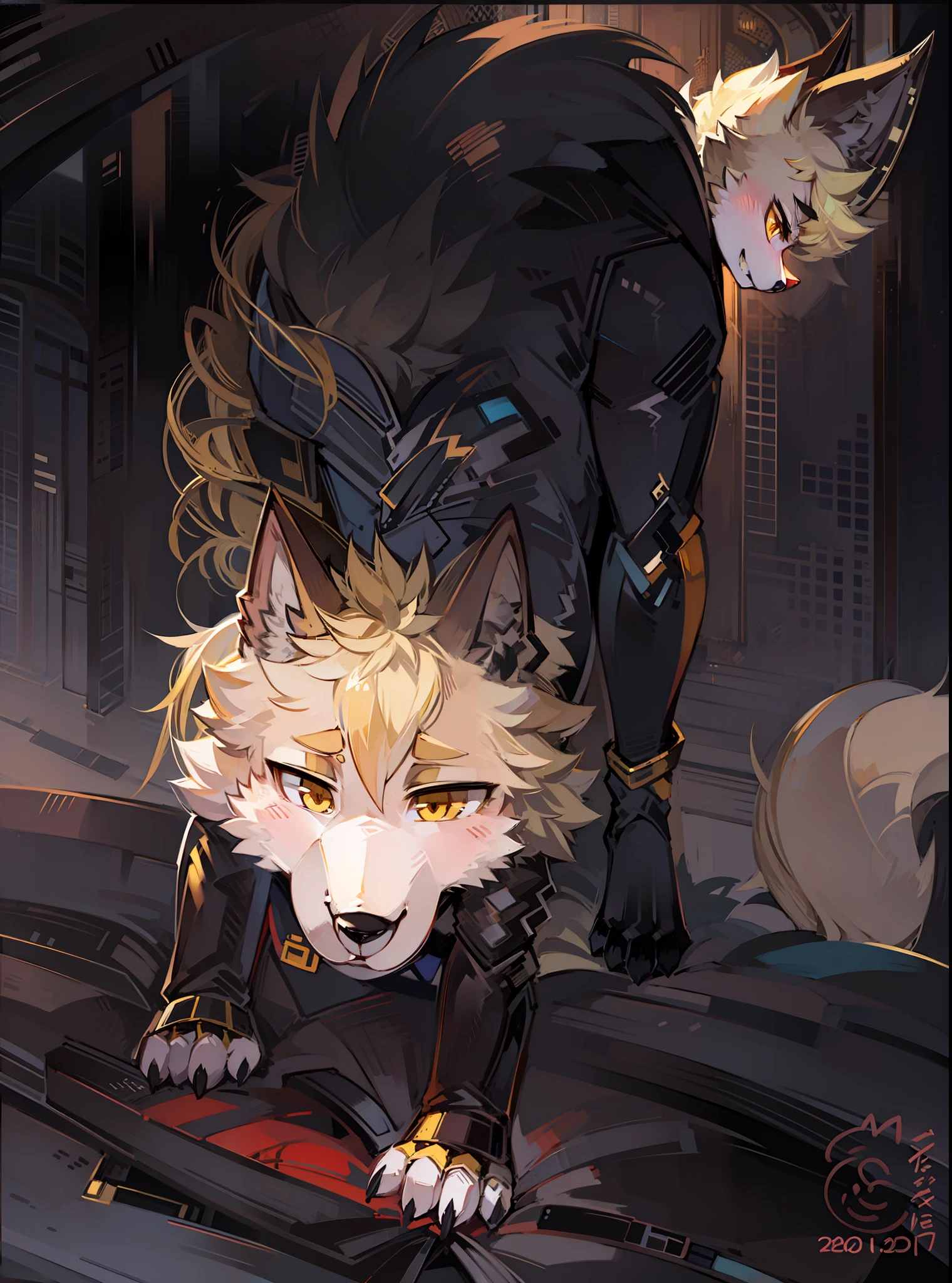 Black Wolf,blonde eyes