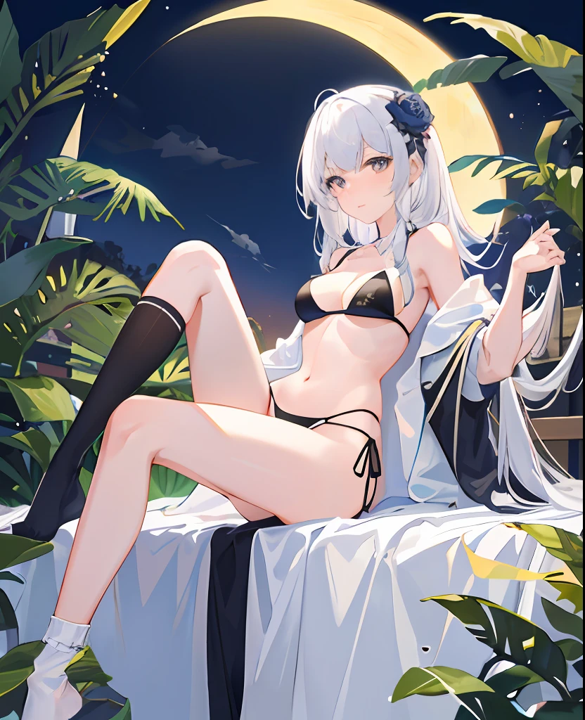 (Masterpiece), (Best quality), full bodyesbian,Simple background,Sitting,
1girll,Shiny hair,White hair belly,Light smile,
plant, flower, full_Moon,detective theme,((black sock)),
1 gir, Bikini,1girl in flower ,