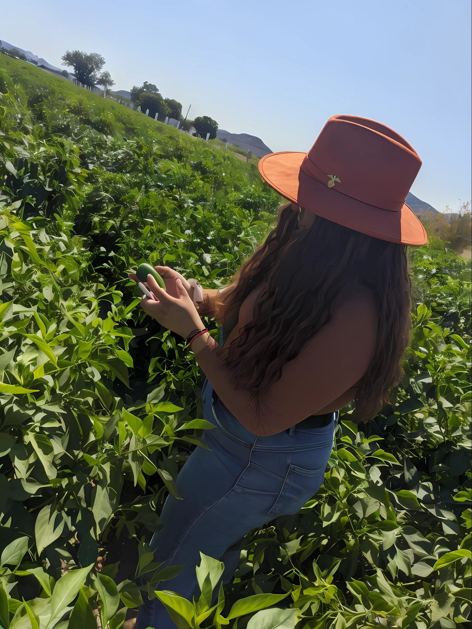 Mujer hermosa en el campo