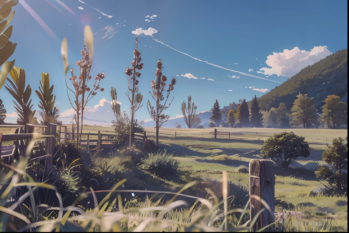 Grassland, pasture, blue sky, white clouds, meadow