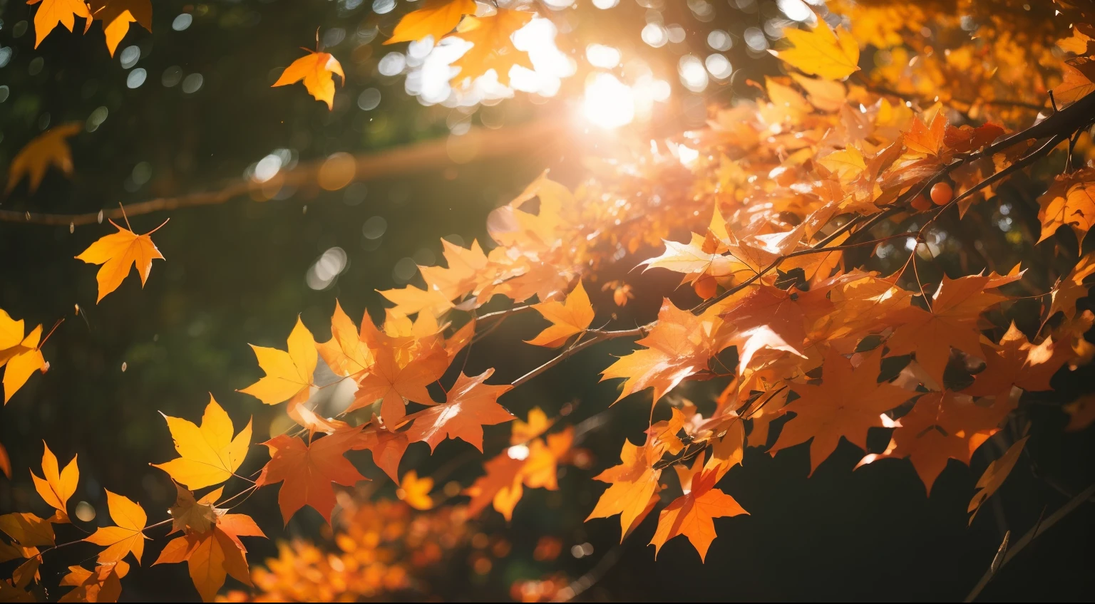 Autumn leaves in Kyoto,sony a7, Film grain, Cinematic lighting, Photorealistic, 32K, diffuse reflection, colorful shiny particles, Lens Flare, Soft lighting