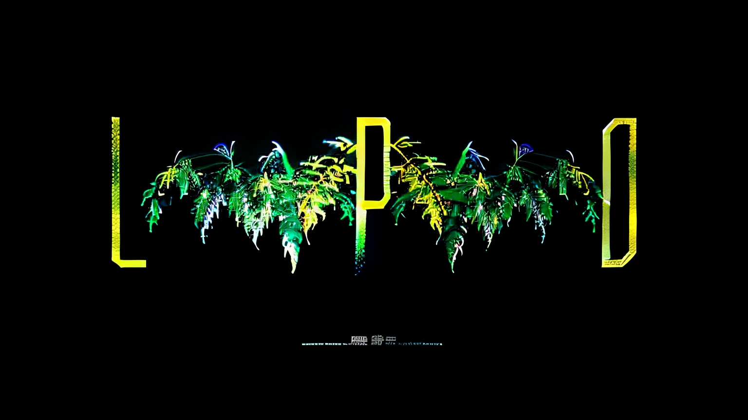 Close up on black background with gold and green logos, p. j. n, phation, Psychedelic ferns, author：Philip Peter Price, fronds, ps, PC Wallpapers, fern, phonk album cover, made with photoshop, photoillustration, palms, forestpunk background, Photosynthetic, Plant predators, Palm, Popular on Behance