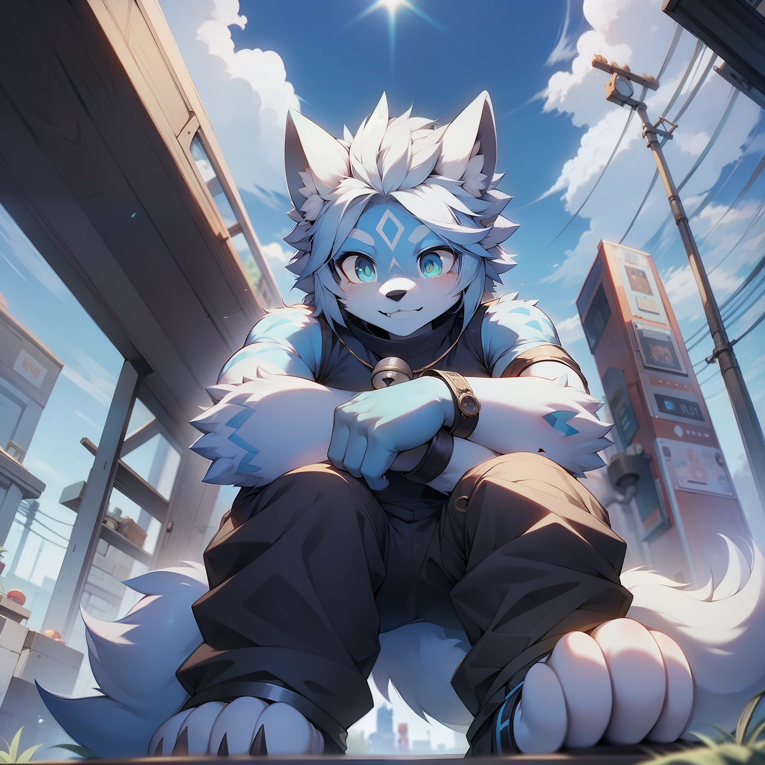 One is a sky blue body，Pale green pupils，Specially patterned hair on the knees and chest，The forehead has a pentagonal white pattern，The ears have one or two diamond-shaped white patterns，The upper part of the ear hair is yellow，The upper part of the hair is sky blue, The hair on the lower part is white，Wolf with bells。was raped