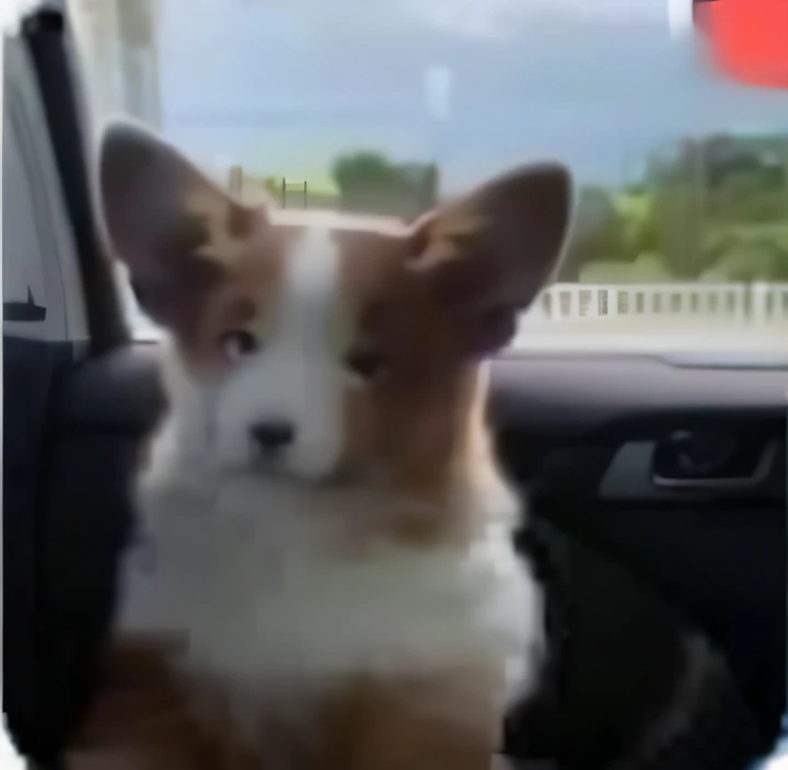 A dog sitting in a car looking out the window for a close-up, dog watching the car, paws on steering wheel, looking out, Looking out the window, looking at the distance, cute corgi, corgi with [ Angelic wings ]!!, looks out the window, corgi and cat fixing the website, ear floof, Looking into the distance, corgi cosmonaut