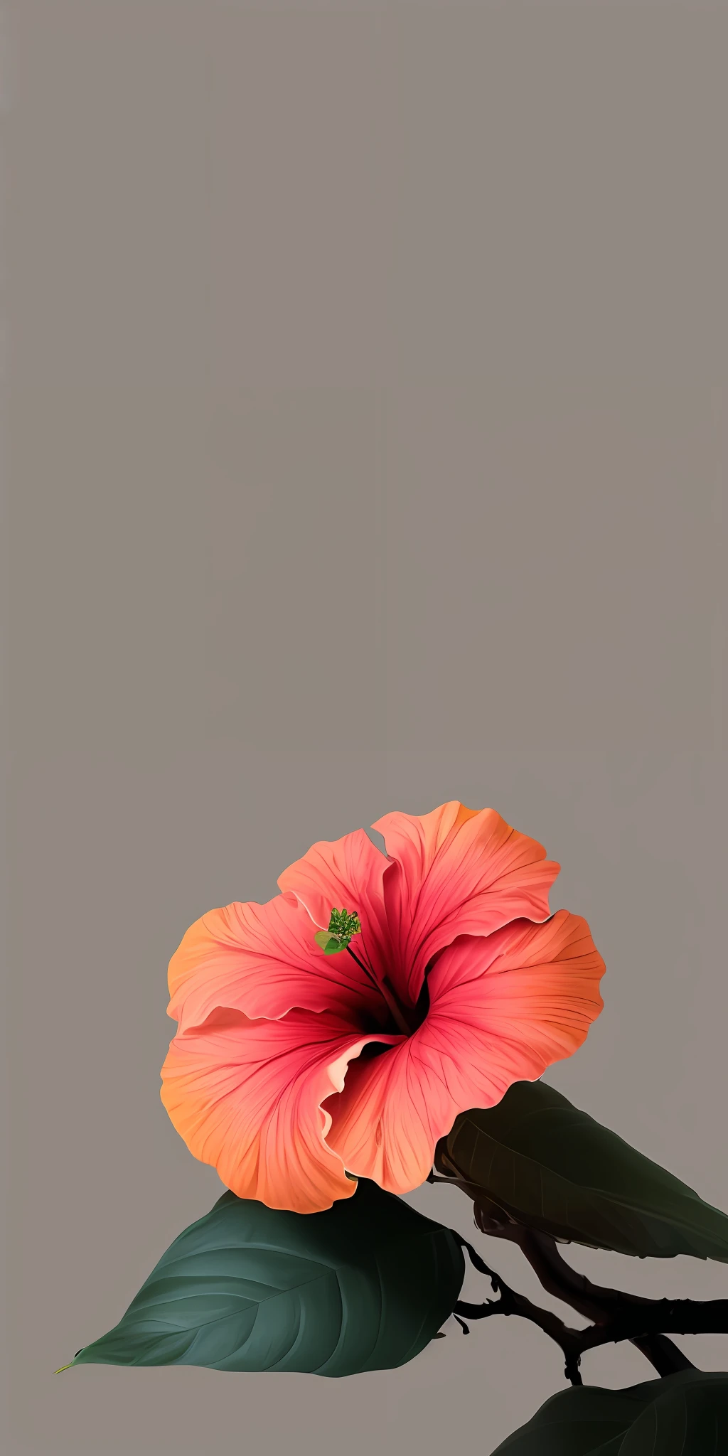 hibiscus flower blooming on a gnarled branch against a grey background, simple background, in the style of light orange and light beige, minimalist images, photography installations, paleocore, green and crimson, hyper-realistic, poetic intimacy