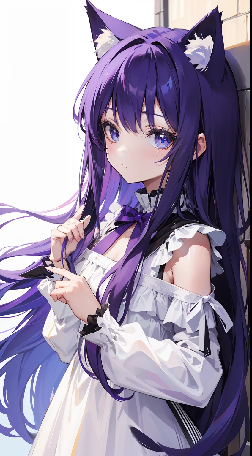 young girl, long purple hair, cat ears, cat tail, blue eyes, white luxury dress, Masterpiece, hiquality