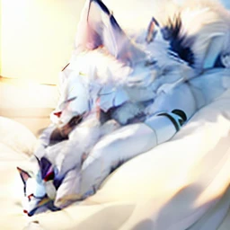 On the bed lay a white wolf,The bed was covered with white sheets, White Wolf anime, White wolf, Vampire White Wolf, White-haired wolf, Soft anime illustration, very very beautiful furry art, white wolf with blue eyes, A white wolf, White wolf, furry wolf, made with anime painter studio, Ethereal white wolf, soft anime, White background : 3,furry。