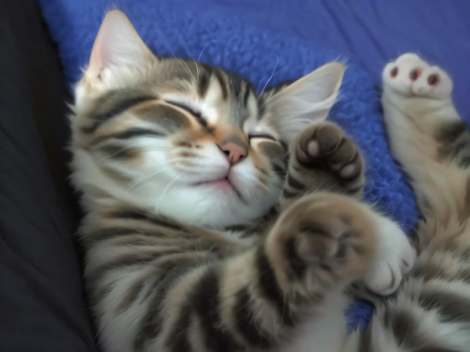 there is a cat that is laying down on a blue blanket, Eyes closed、he is very relaxed, the cutest kitten ever, an adorable kitten, smileeeeeee, Cute kitten, nearly napping, happy cat, very sleepy and shy, pain々Adorable, cute cat photo, winking at the camera, ohwx, he is very happy, cute and cuddly, sleepy expression
