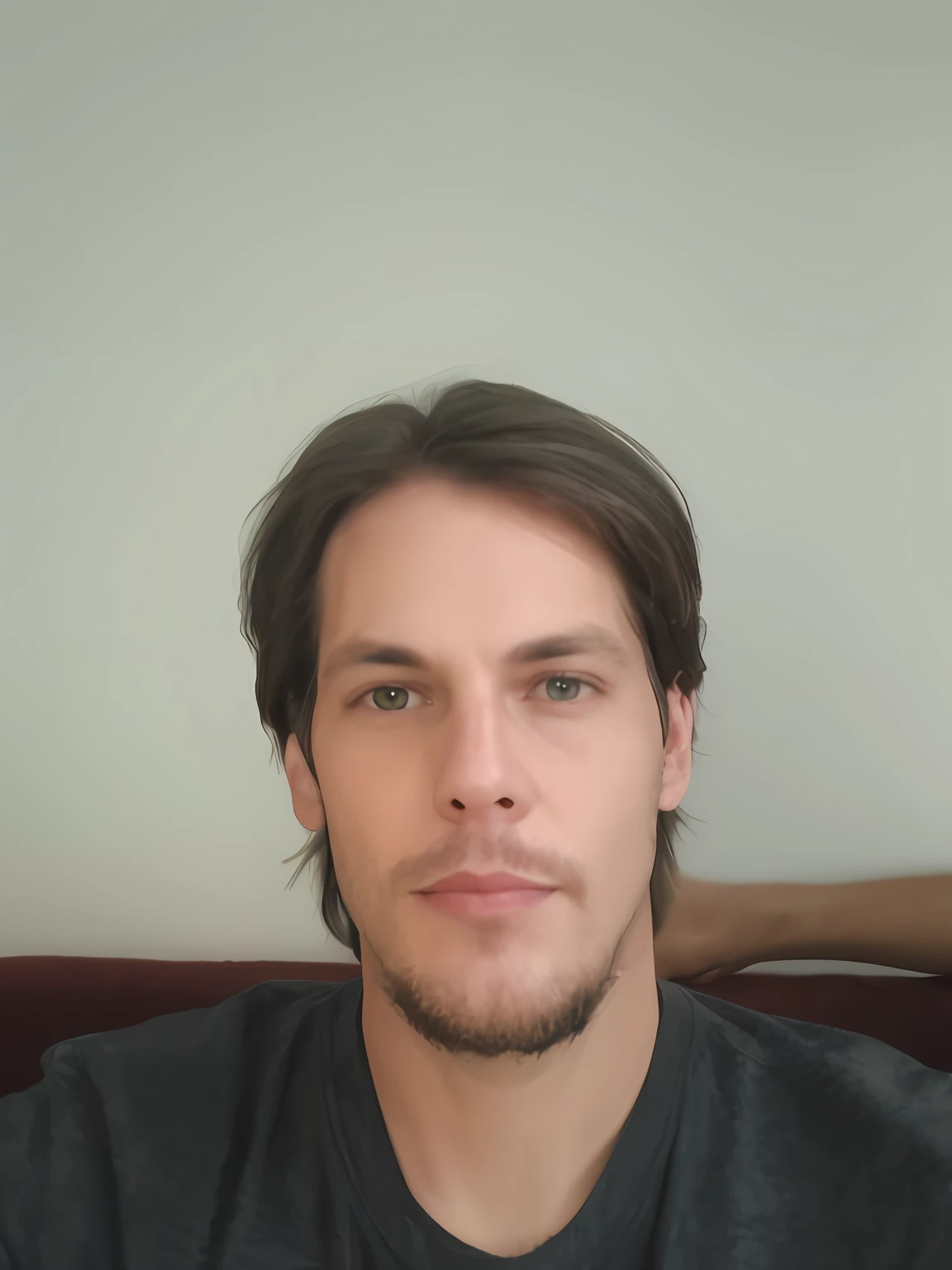 there is a man with a beard and a gray shirt, em torno de 1 9 anos, Streamer do Twitch / Jogador Ludwig, com uma barba pequena, Michal, Retrato de Jerma985, 3 2 anos, 2 8 anos, 2 7 anos, cerca de 3 5 anos, (38 anos), imagem de qualidade muito baixa