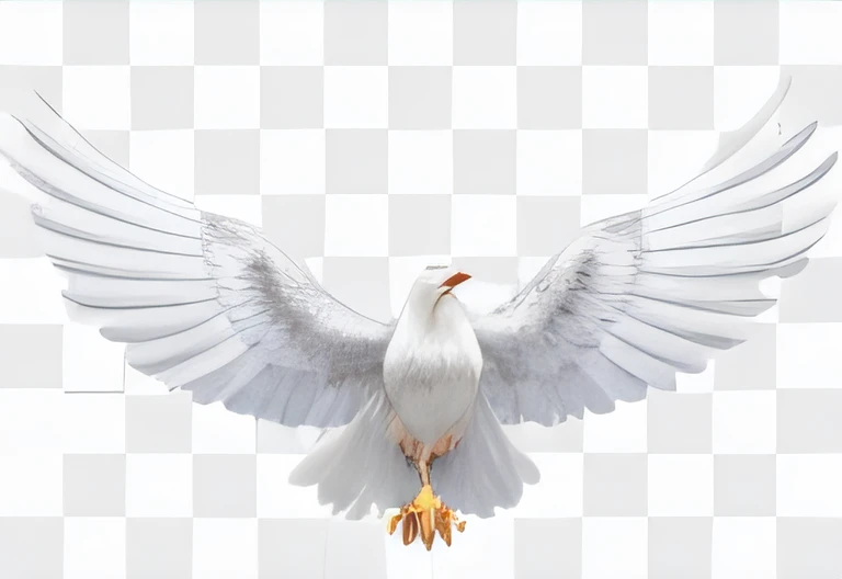 uma pomba branca voando no ar com as asas abertas, pomba branca, holy spirit, Pombas, ophanim has bird wings, onde, majestosas asas de pomba grande, fundo branco isolado, alta qualidade de imagem, White eagle icon, Asas Brancas, asas abertas, em fundo claro, POMBO, asas que se estendem, pombas voando no portal, asas abertas, foto completa, hd illustration