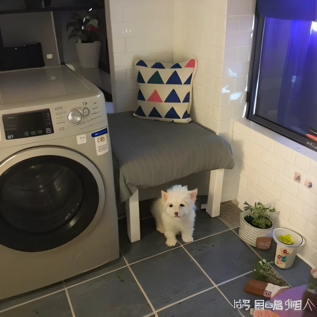 There is a little white dog sitting under the washing machine in the bathroom, [ Realistic photo ]!!, small bed not made, A handsome, komono, Handsome, Wang Chen, taken with canon 8 0 d, inside a cozy house, my home, he is very relaxed, very very very realistic, captured with sony a3 camera