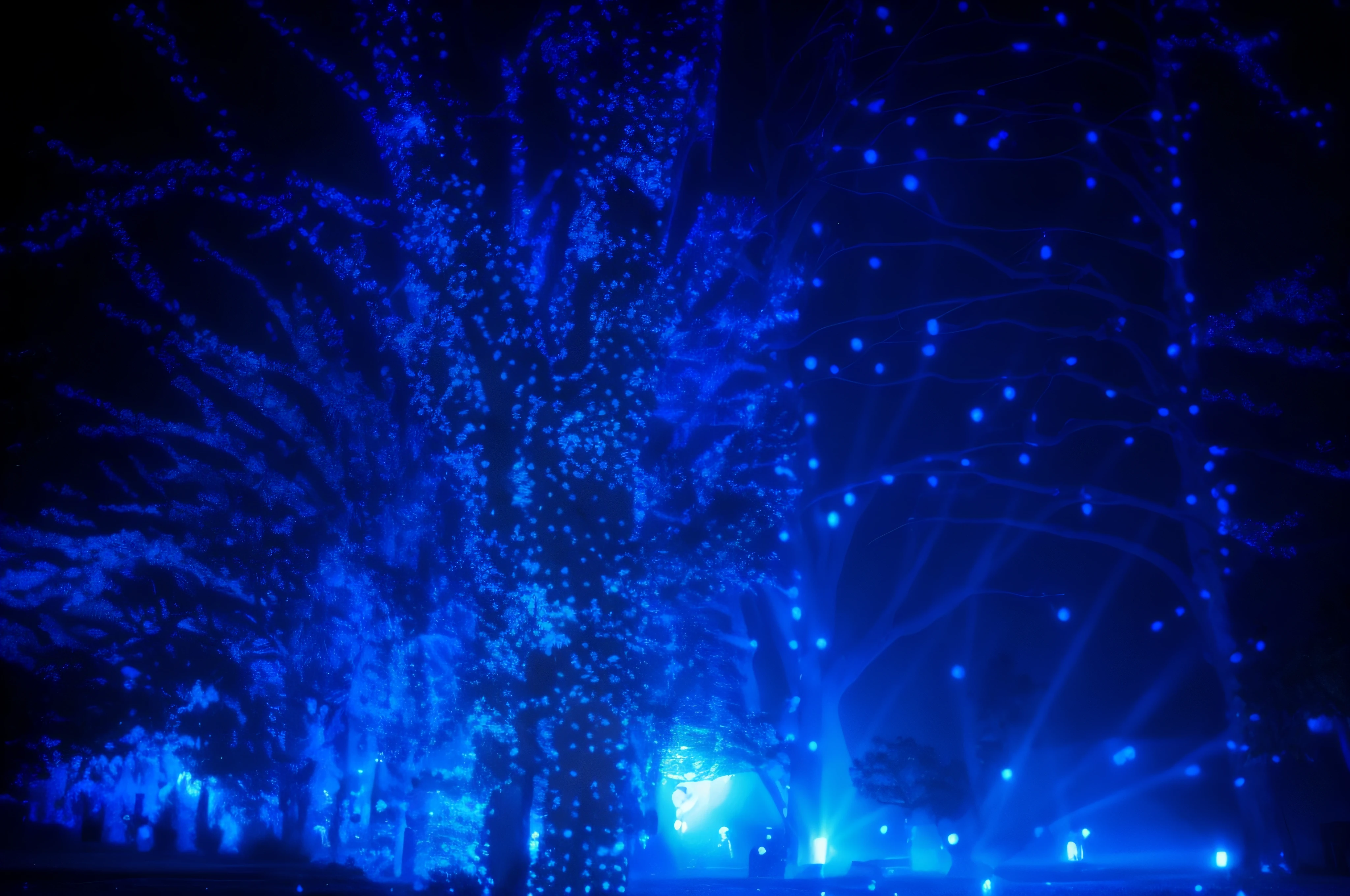 Alafed tree with blue light in park at night, Beautiful blue light, blue lights, Blue glossy lighting, Blue light and purple light, with glowing blue lights, Blue lighting, Neon lights on lots of trees, Blue tree, blue lights, Cold blue lighting, Flooded with blue light, beautiful ilumination, Glowing blue, Blue LED, local illumination, Deep blue lighting