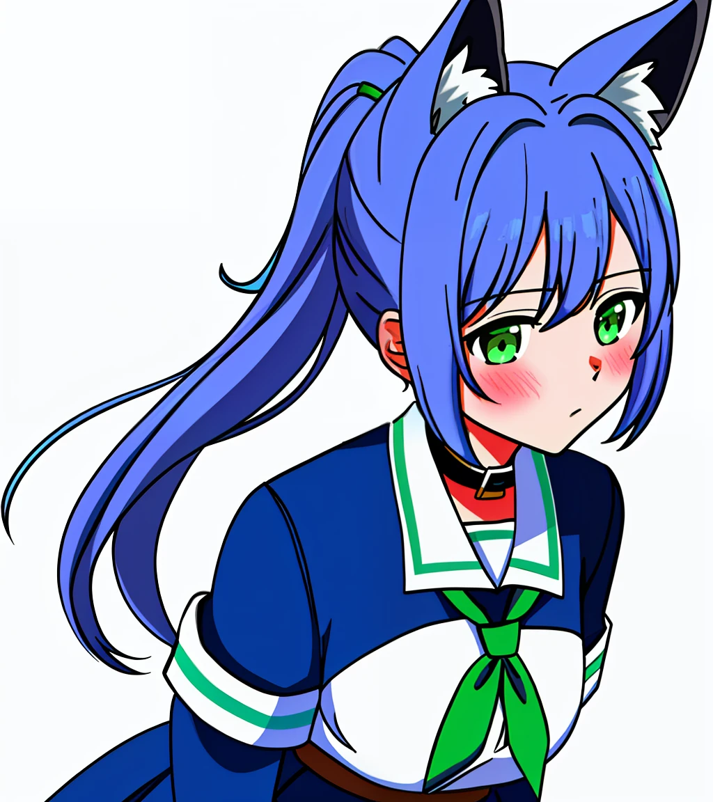 full bodyesbian, (Padoro meme 1 girl), pony tails, (school uniform), Blue dress, Animal ears, Cat ears, Collar, tiese, tie, ((Blue and green)), Bare shoulders, Blush, Animal ear villi