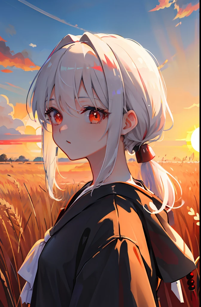 Masterpiece, Best quality, 1girll, Portrait, White hair, pony tails, Red eyes, Samurai, Wheat landscape, Sun, Clouds, (com cores neutras), (hdr:1.4)