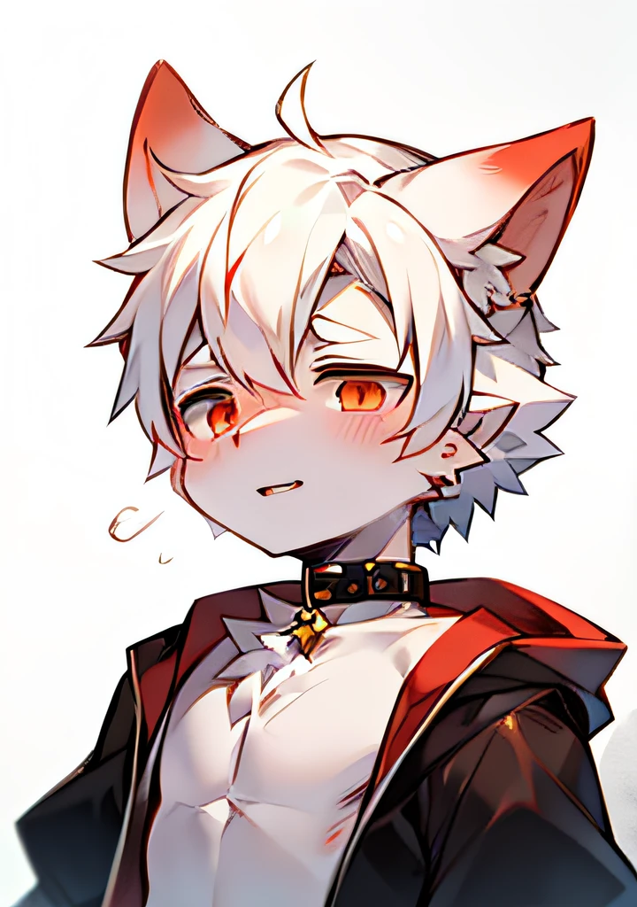 pantiess、no top dress、Beast Ear Shota、boy、Collar、White hair、Be red in the face