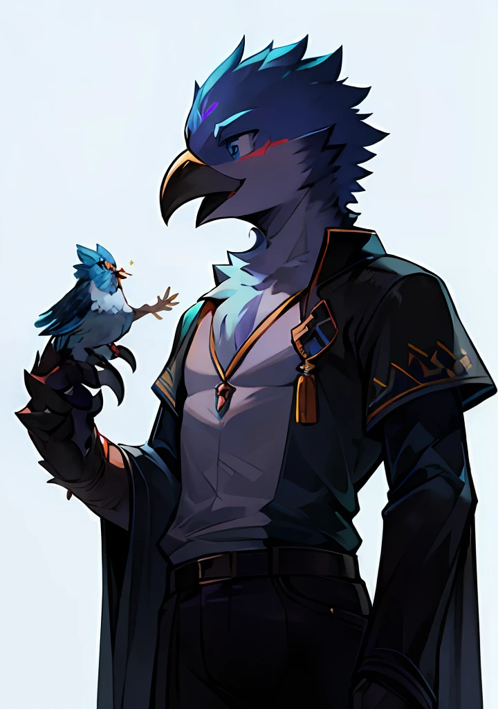 birds，2D CG，top Quority，Set up three views，Birdman，Legend of Zelda，birds，Male birds，Shota，cawing ravens，black Feather，blue color eyes，A delicate face，Bird's claw，Sharp claws