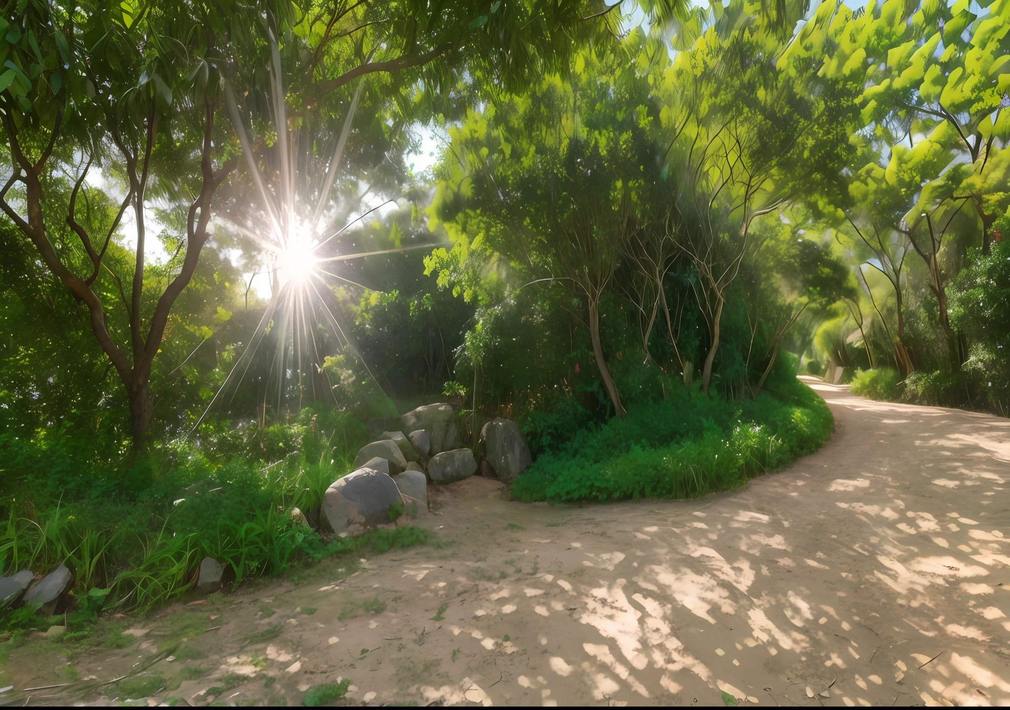 Araffes caminhando em uma estrada de terra em uma floresta, Sol da tarde, early morning light, Hora do dia ensolarado, luz solar do meio-dia, luz noturna filtrada, Sunscreen through the trees, ambiente ensolarado, summer morning light, algum raio de luz solar, Morning light, Luz da tarde, morning sunlight, atmosfera ensolarada, Luz do sol da tarde fraca, Morning lighting, sol abafado, luz do sol irradiando para baixo
