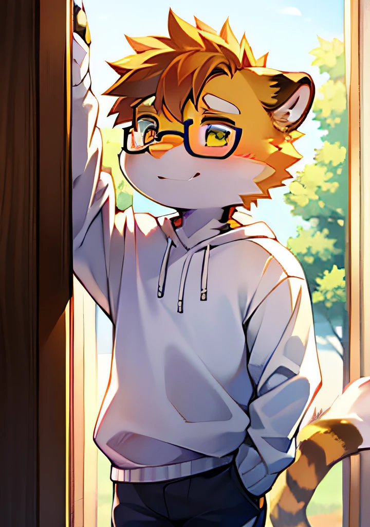 (Bright environment:0.8),eyes with brightness, Upper body, Character focus.(detailedbackground:0.7), adolable,furry men,,The head is on the large side,shaggy male,Sunny and cheerful,wearing black rimmed glasses,White sweatshirt,tigre,(Long felines,Shota,Normal standing posture)Steady and secure,Fluffy