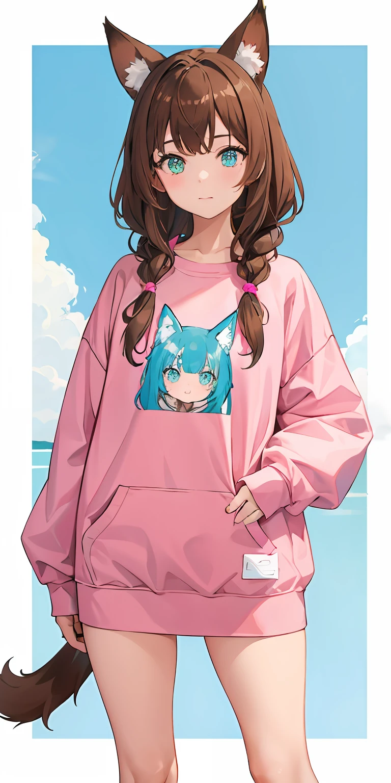 1girl,brown hair,Cyan eyes,dog ears,Nice,Pink,Large sweatshirt