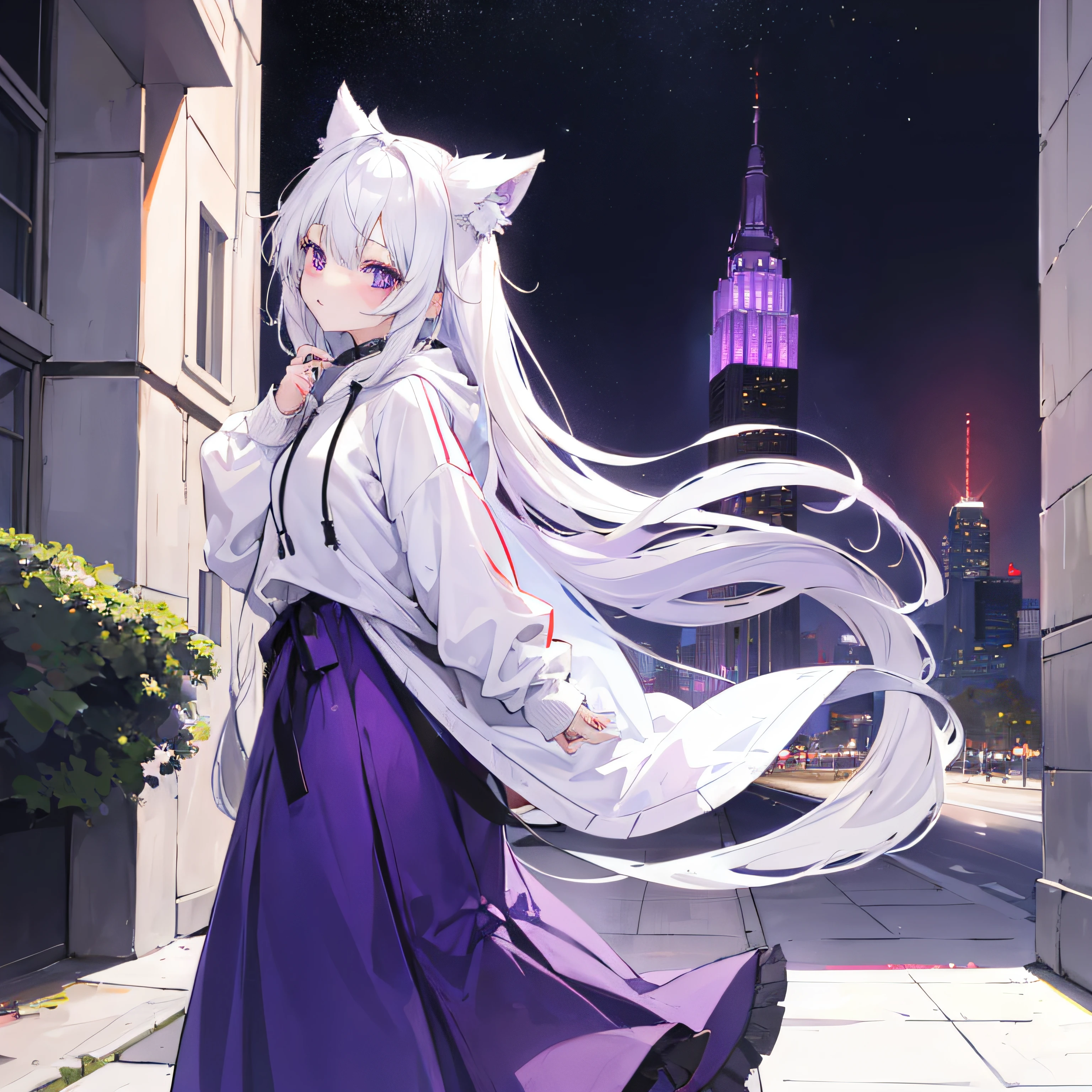 1girl, long white hair, purple eyes, wearing a hoodie, long skirt, city, absurdres, high res, ultrasharp, 8K, masterpiece, looking at viewer