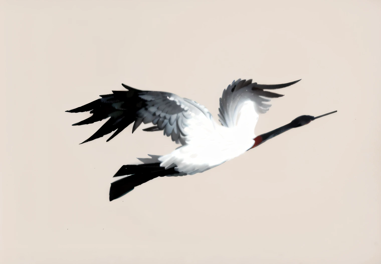 ink wash style,Red-crowned crane,Black and white