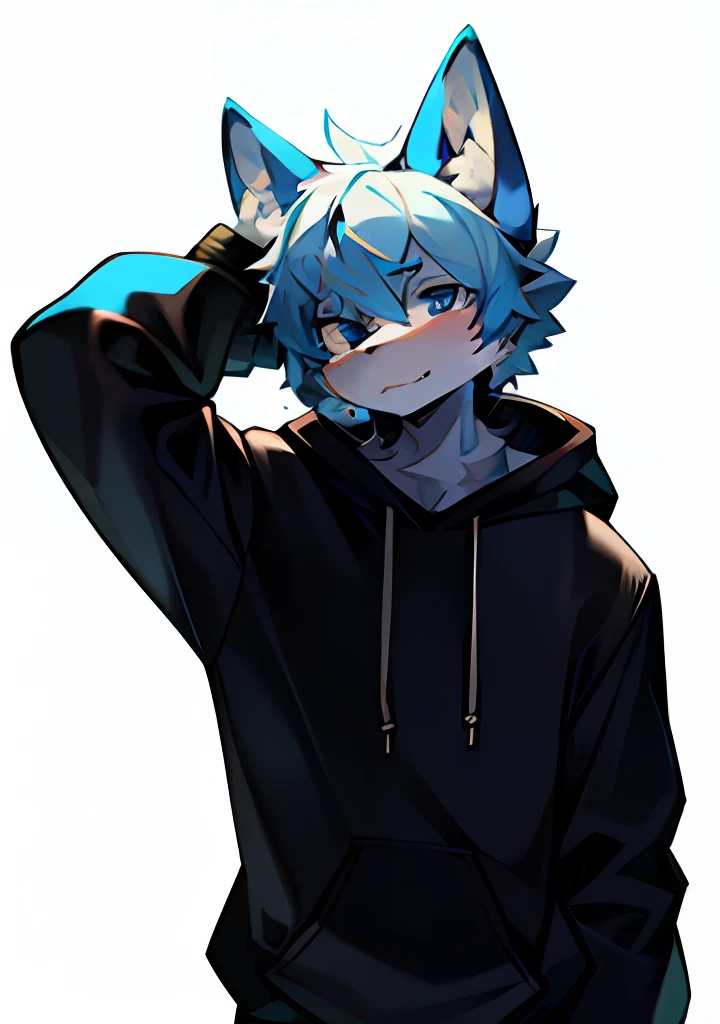 Furry,shaggy,Cool,Blue-white hair,Sweatshirt