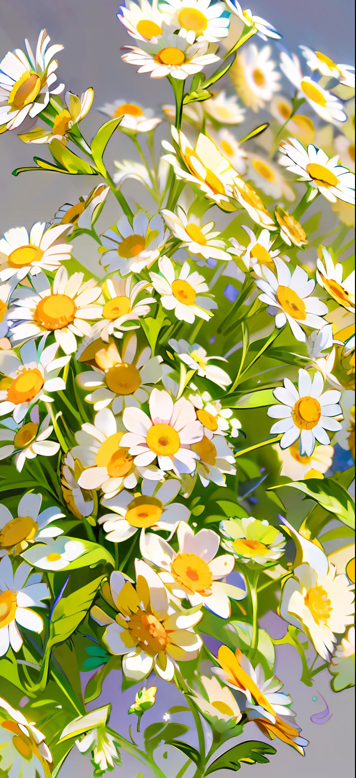 Chamomile, Daisies, lots of little daisies, florals, blossoms, Field flowers, Natural flowers,  opulent, flowers in the background, Daisies, daysies, a bright summer day, Beautiful flowers, Many flowers, flowers blooming，higher details，Beautifully lit graphics