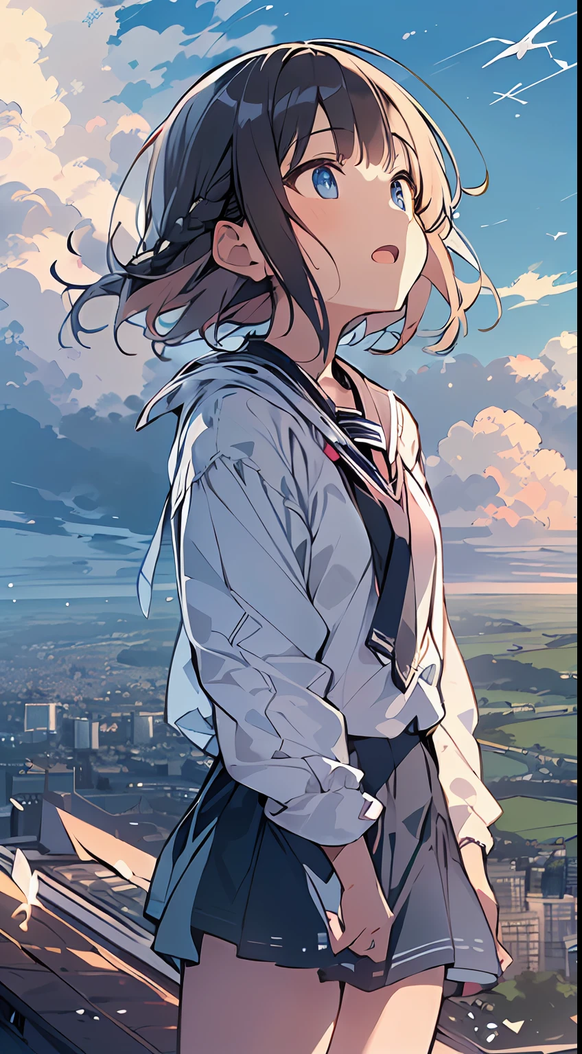 masutepiece, Best Quality,Illustration, Wallpaper, Ultra Detail, absurderes, 1girl in, Solo, (Medium short hair、short braided hair), Beautiful detailed eyes , luminous sky、Hair that flutters in the wind,(a panoramic view:1.3),(Sense of depth:1.5),(longshot:1.5)