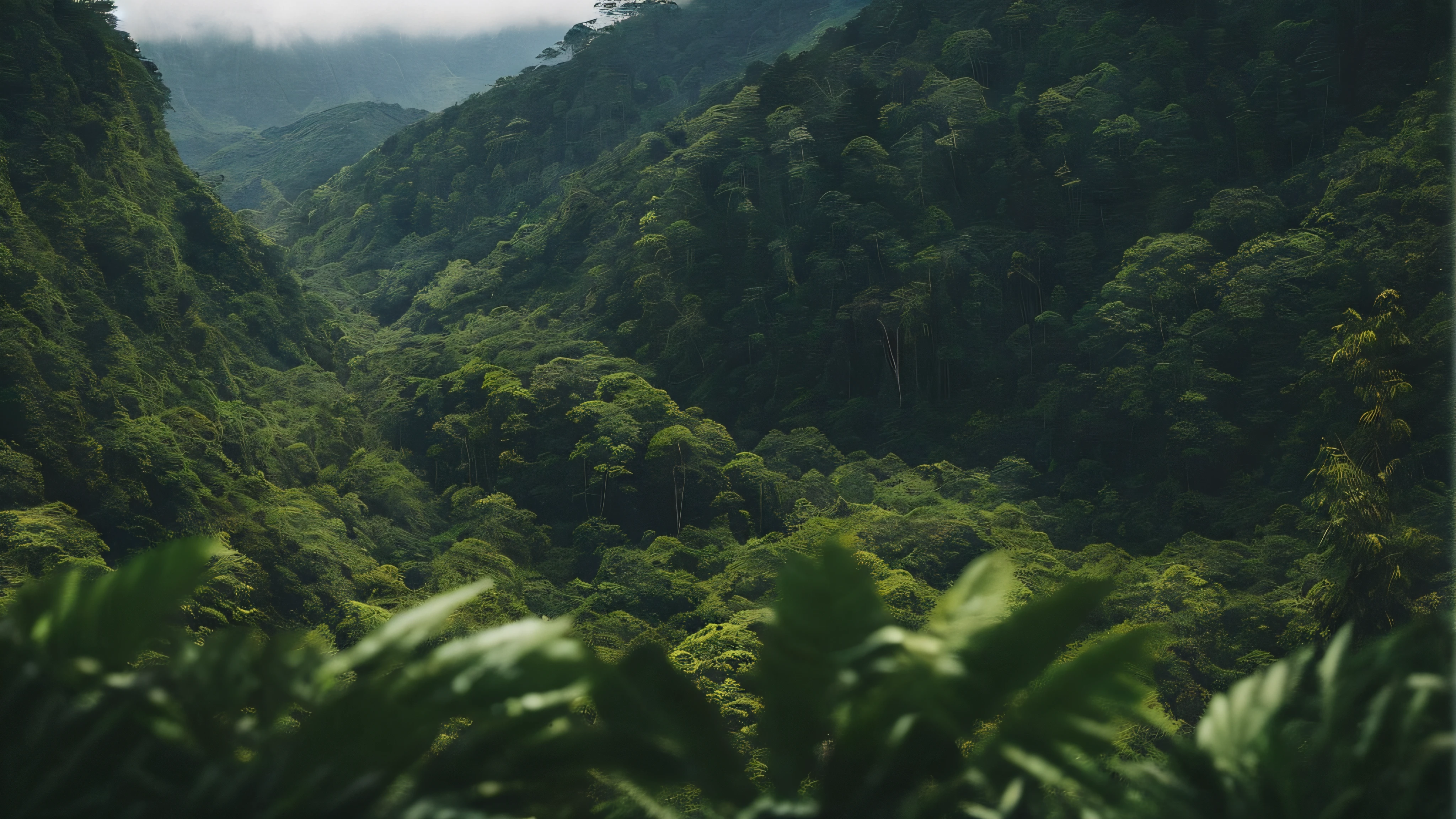 there is a picture of a mountain with a forest on it, lush forest in background, lush forest landscape, mountainous jungle setting, lush forest, lush forest in valley below, lush forests, rainforest mountains, lush rainforest, lush trees, forests, lush green forest, beautiful jungle, tropical forest, lush jungle, forested, rainforest, lush scenery