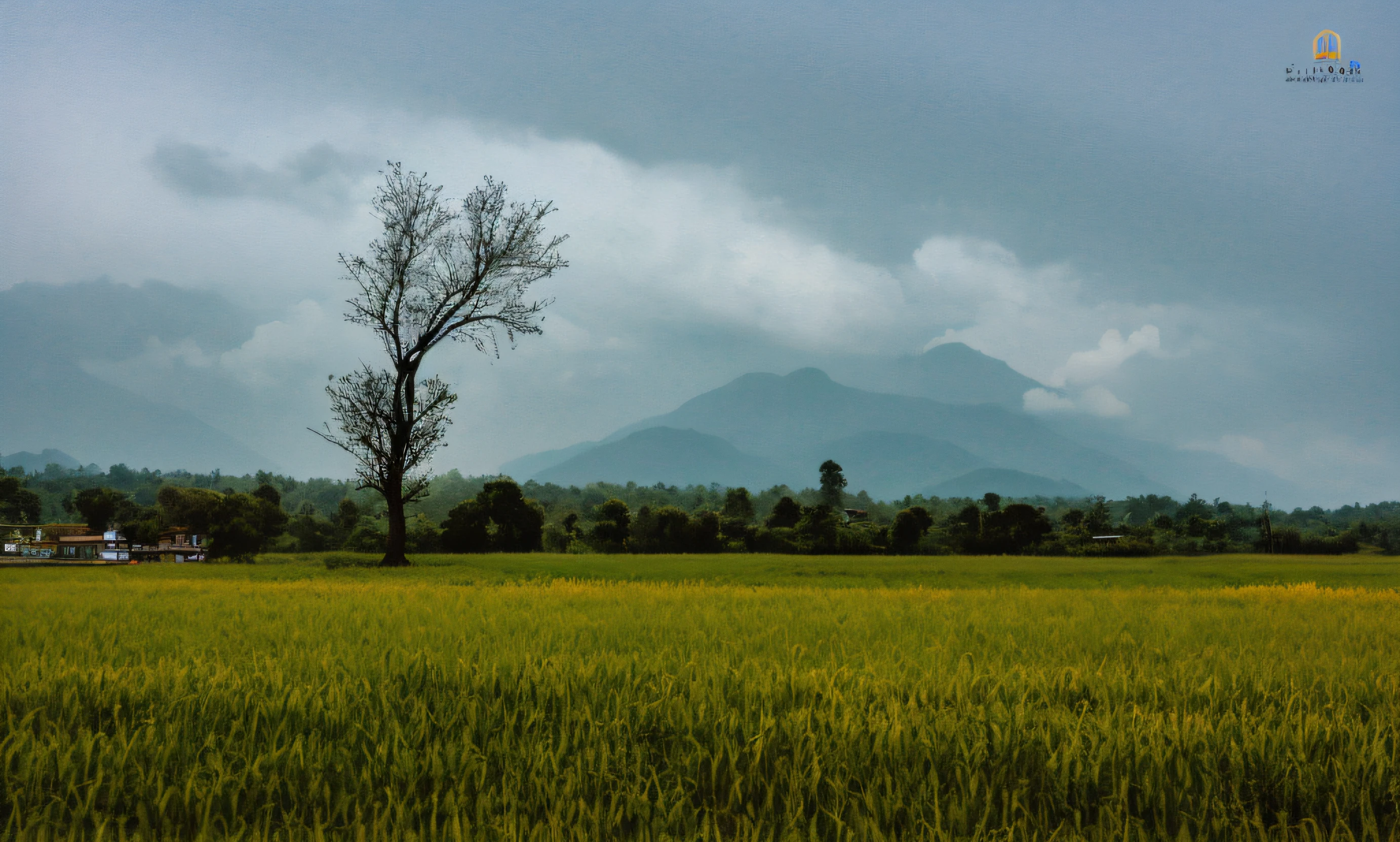 there is a lone tree in a field with mountains in the background, lonely landscape, scenary, lonely scenery yet peaceful!!, gloomy landscape, landscape photo, rural landscape, malaysia with a paddy field, landscape photograph, landscape scenery, weather photography, lonely tree, sri lankan landscape, hdr photo, in a vast serene landscape, shot on sony a 7, country landscape