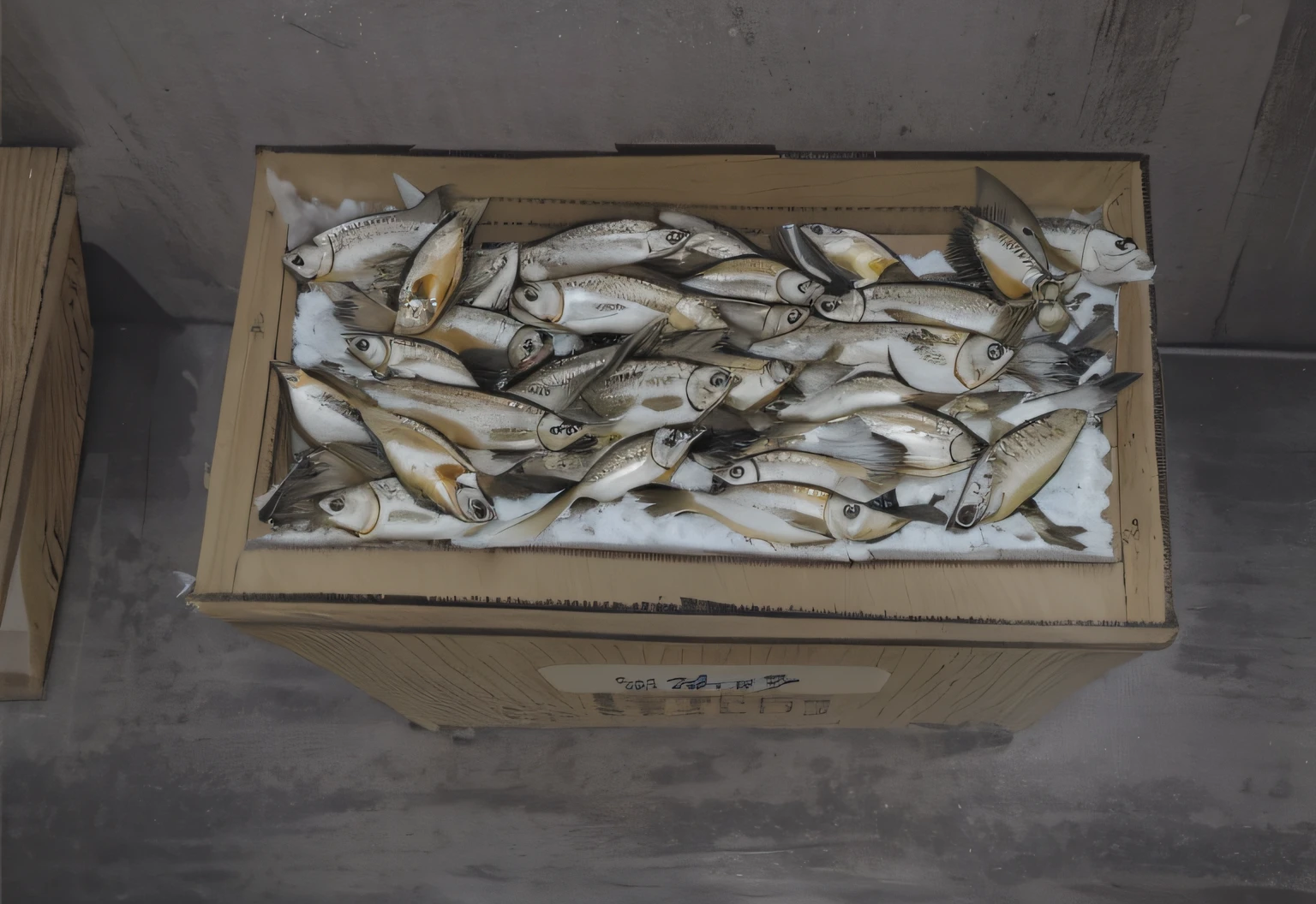 There were a lot of fish in a box on the floor, Fish, Dead fish, The fish, fish market, author:Li Zai, author:Uesaka Seka, author:Relja Penezic, Commercial illustration, momoshiki ōtsutsuki, author:Sasha Putria, realistic scene, by Ni Yuanlu, author:Ludvik Konazevsky