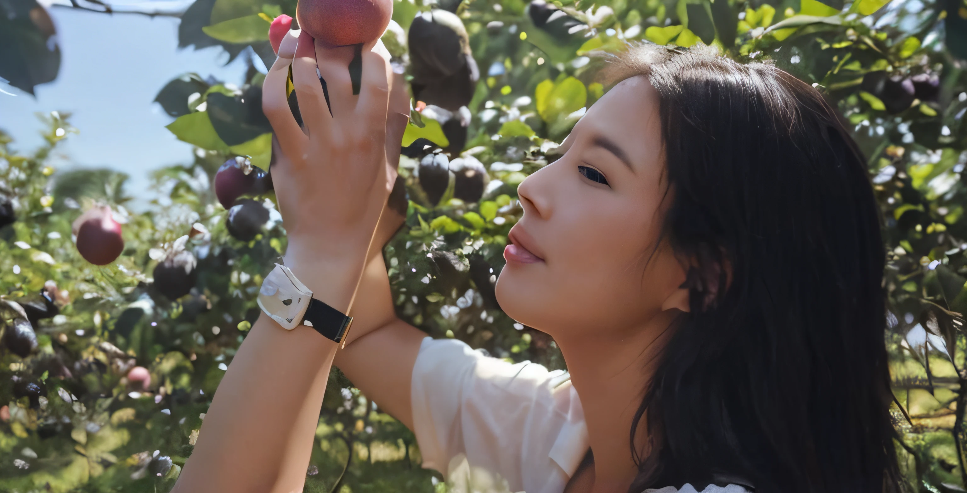 The woman reached out to pick fruit from the tree in the orchard, exclusive, Award-Awarded, exploration, Waist high, fall, Clear detail, she is easting a peach, is playing happily, picking apples from a tree, krystal, Lady, woman, Fruit, Fanart, personal profile picture, standing in an apple orchard, 🦩🪐🐞👩🏻🦳