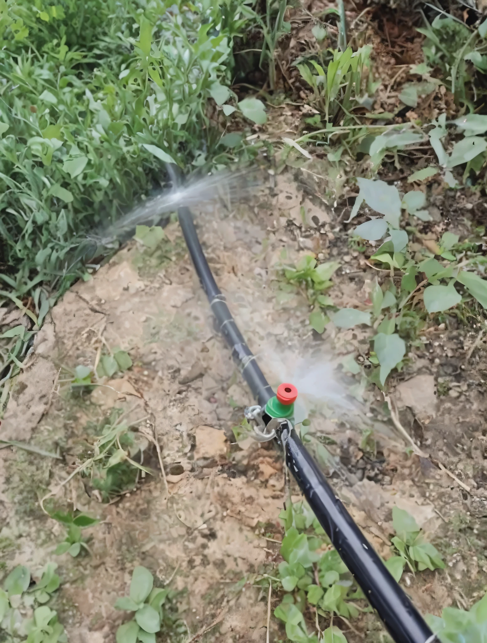 There is a black hose on the ground，The hose has a sprinkler head，For 360 degree horizontal water spray,The color of the nozzle is green, black, red, Water flows over the soil, irrigation,  Realistic painting style, high-quality picture,