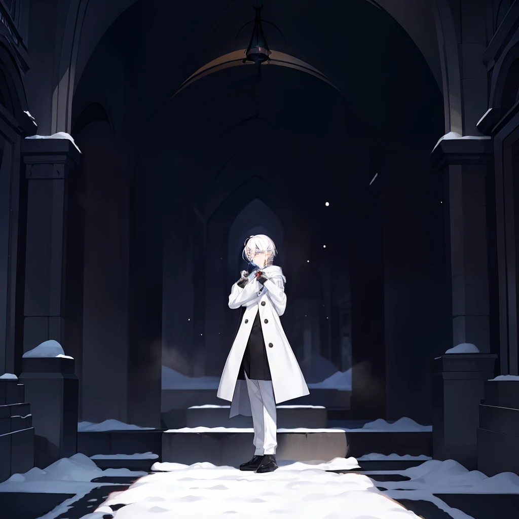 1boy, white hair, white suit, snow
Steps: 15, Sampler: DPM++ SDE Karras, CFG scale: 7, Seed: 52, Size: 512x512, Model hash: 1168485b2d, Model: Checkpoints_AnythingDarkNeg100, aesthetic_score: 6.8