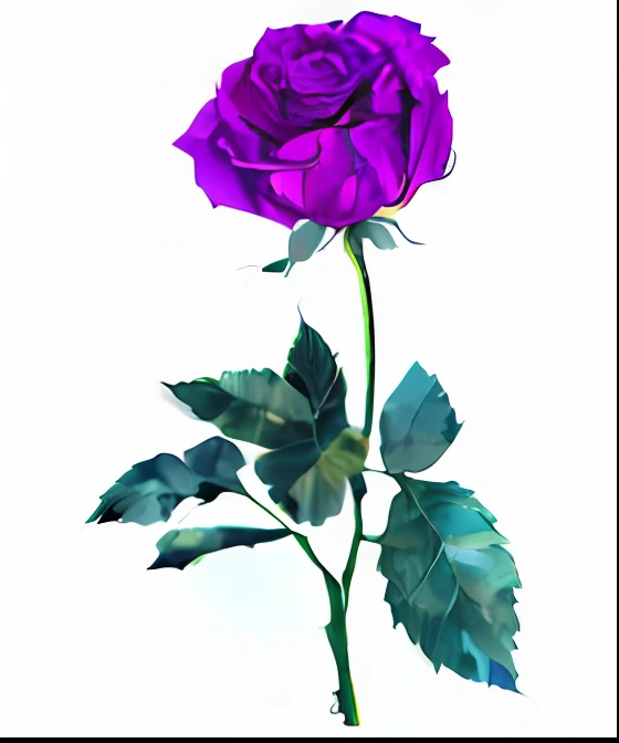 Purple rose with green leaves on stem on white background, rendering a blue rose, some purple, violet flower, Rose, drawn with photoshop, rose twining, Pink rose, Blue rose, Black and purple rose petals, photo of a rose, ( Ultra photo realsisim ), Purple - colored, purples and greens, Digital drawing, pink rosa, 256x256
