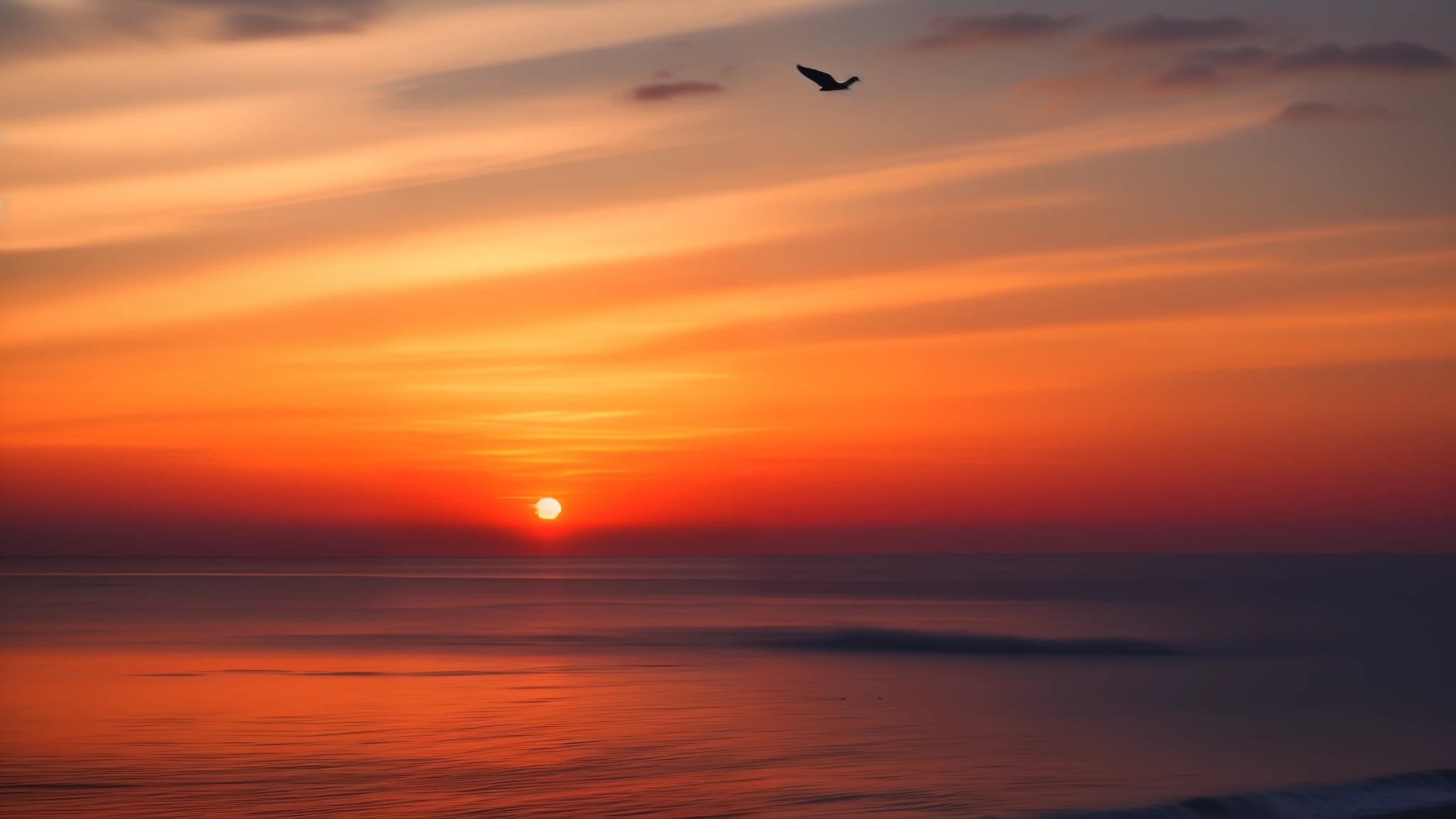Sunset over the ocean，A bird flies in the sky, flying through sunset, nice sunset, Beautiful sunset, beautiful sunrise, sunset sunrise, gorgeous romantic sunset, The most beautiful sunset, at a beautiful sunset, Sunset view, flying over the ocean, the sunset, amazing sunset, Fly over the horizon, amazing wallpapers, Morning sunrise, Sun sunset, High quality wallpaper