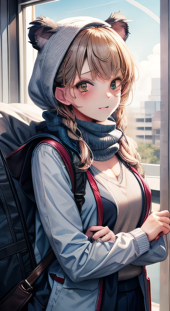 koala estudante