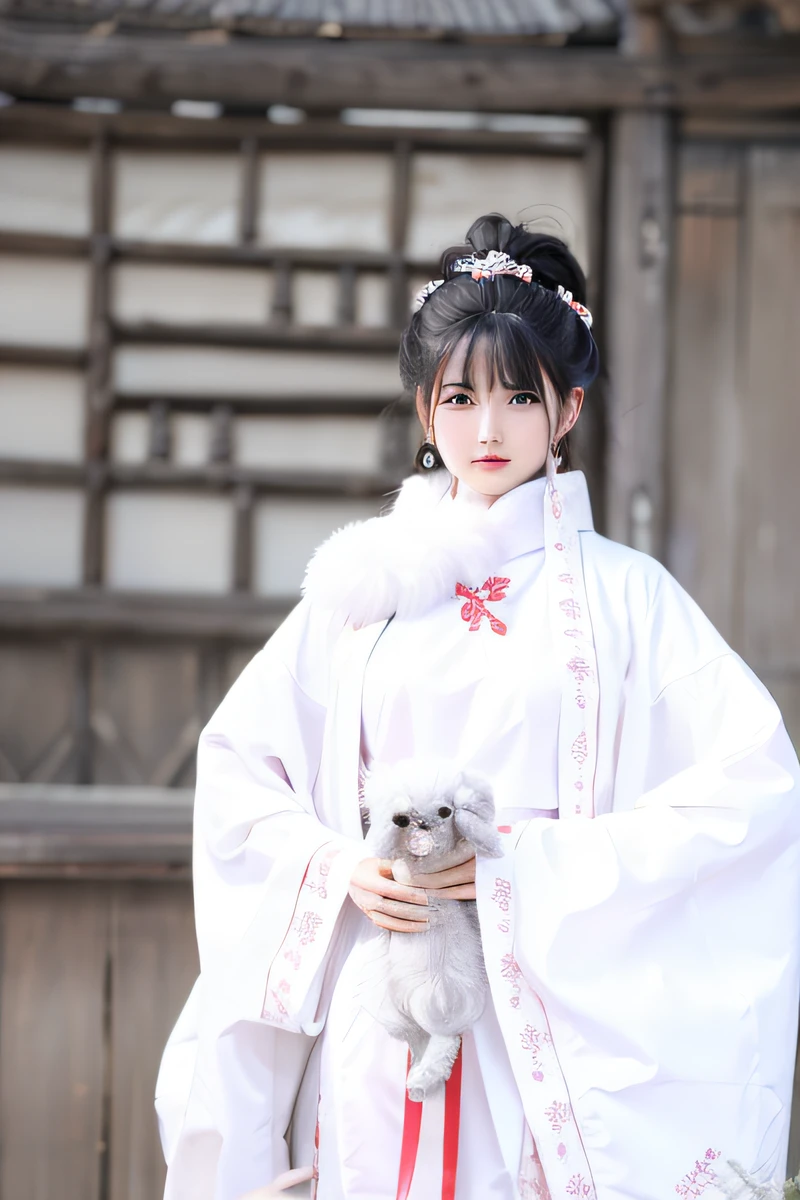 An Alafi woman dressed in traditional Korean dress holds a puppy, Palace ， A girl in Hanfu, Red Hanfu, Hanfu, Wearing ancient Chinese clothes, with acient chinese clothes, Traditional Chinese clothing, Expensive assembly of the whole body, Princesa chinesa antiga, Chinese costume, Wearing a luxurious silk cloak, wearing a noblewoman's outfit, inspired by Gu An