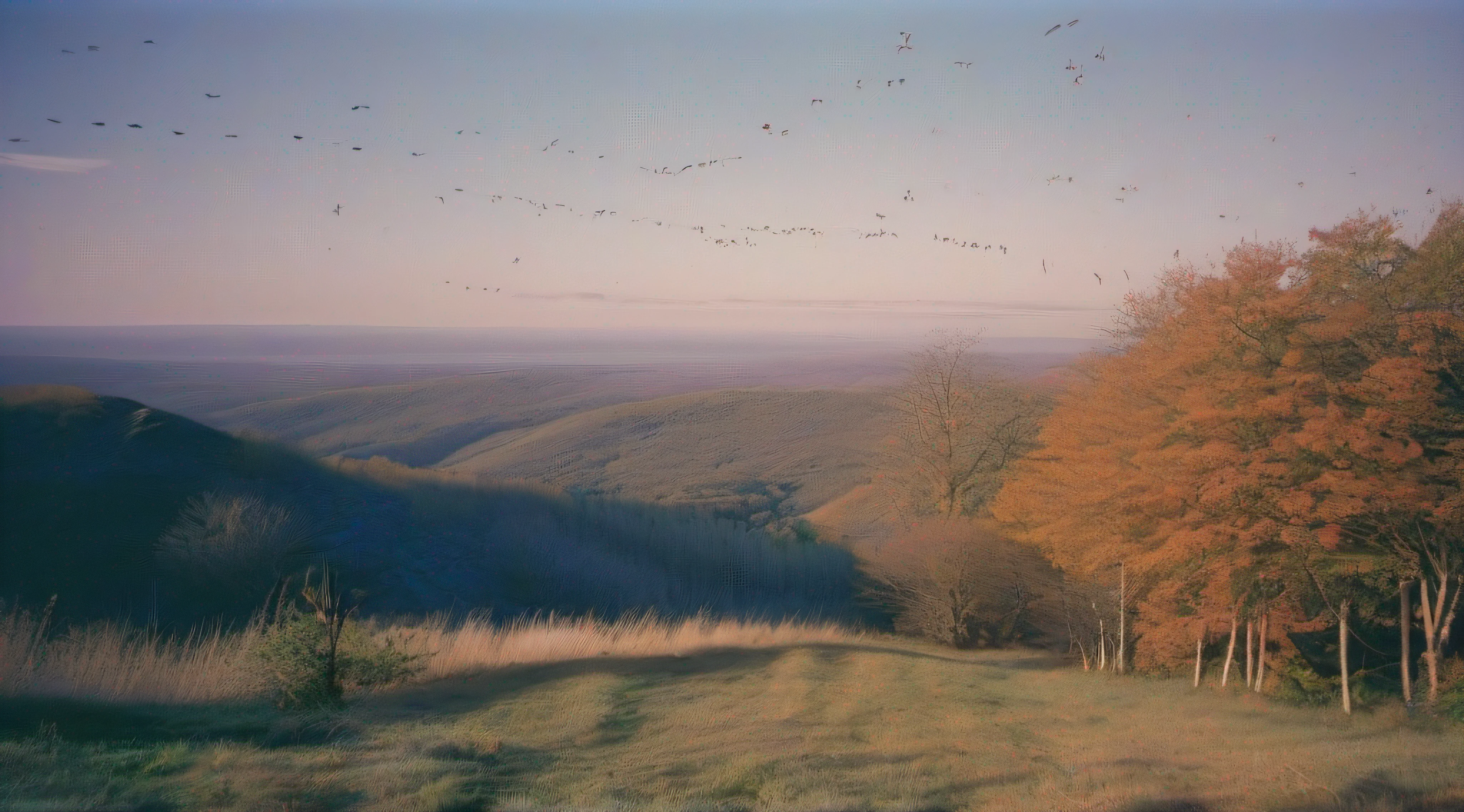 O'er all the hilltops Is quiet now, In all the treetops Hearest thou Hardly a breath; The birds are asleep in the trees:Wait, soon like these Thou too shalt rest.