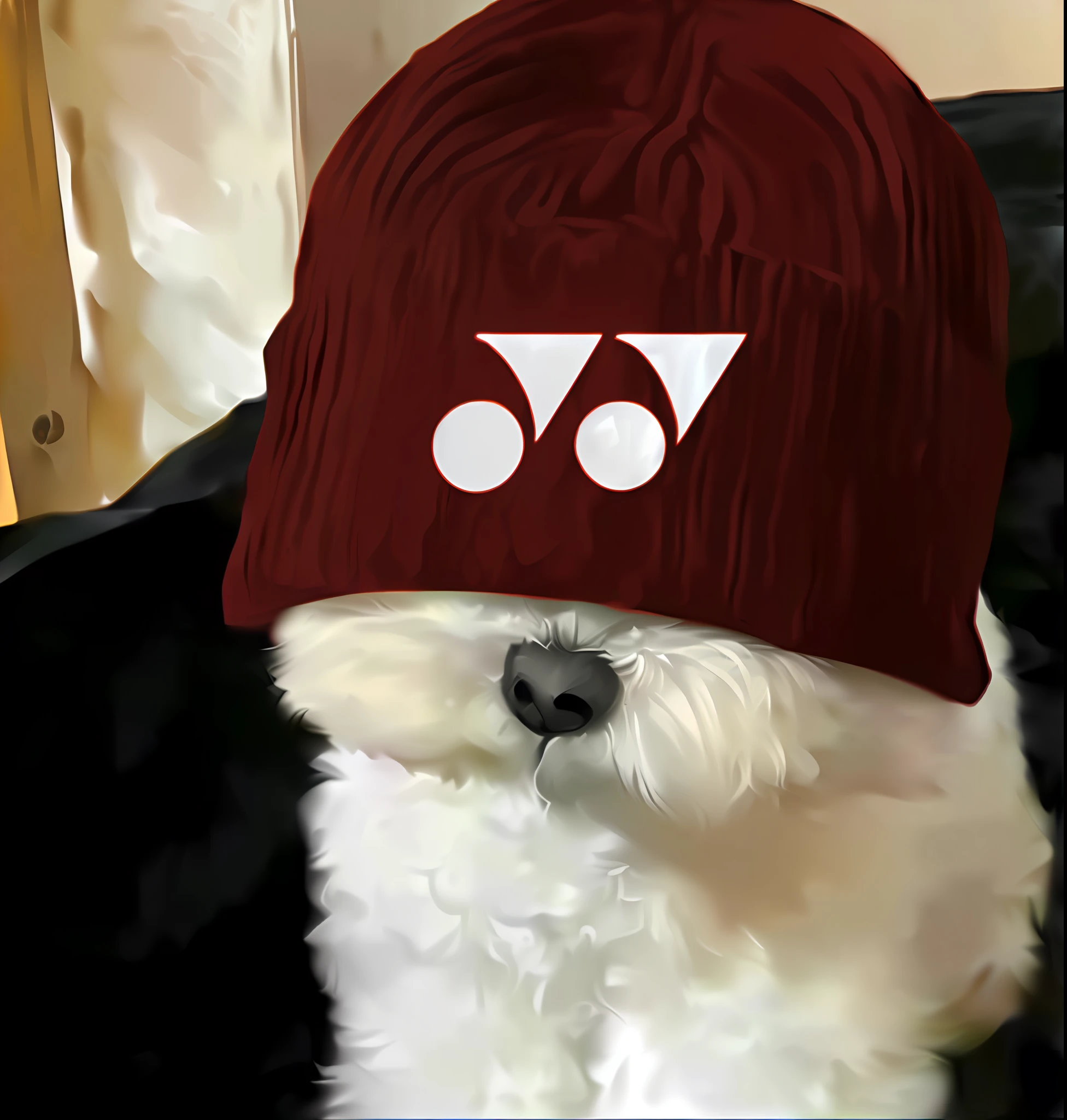 White-eyed white dog wearing a maroon hat, it's wearing a cute little hat, wearing a cute hat, wearing beanie, wearing beanie, wearing wool hat, Wearing a hat, hat covering eyes, he's wearing a hat, The Great Wizard in a Hat, wearing a red backwards cap, wearing a strange hat, warm, wearing hat