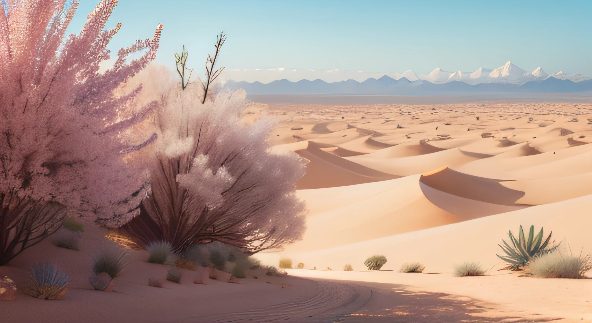 A desert，blossoms，scenecy