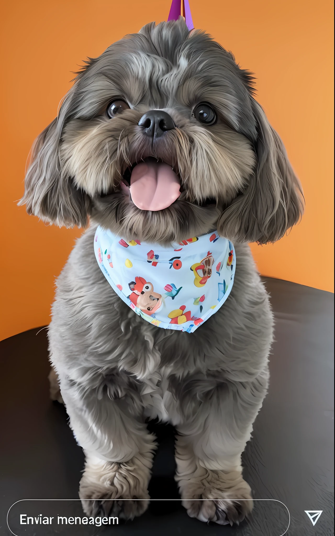 Happy birthday to a happy furry baby, shih-tzu 4K HD resolution, imagem de alta qualidade, imagem premiada, imagem da National Geographic com fundo granulado, imagem premiada, imagem premiada, hiper-realista, alta resolução, muito detalhada, imagem premiada, muito detalhada, Qualidade HD