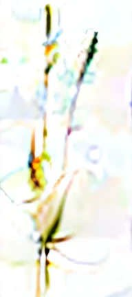 Dogtail，Close up of plant with long green stems and leaves, drawn image, Beautiful image, Orchid stem, flowers and stems, Grass blade, stunning images, Grass, plant, flax, Pastoral fern, grass - like, white backgrounid, proteus vulgaris, iris compiet, Without background, Coronal corpus callosum, Plata