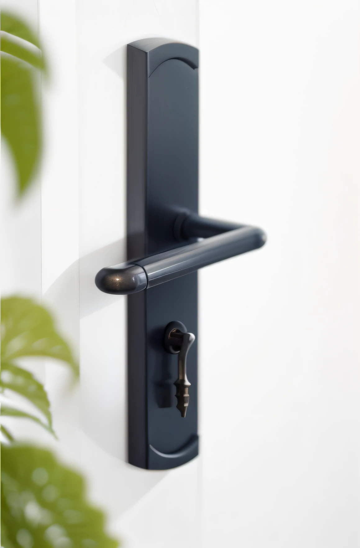 plants in foreground，Watch a close-up of the doorknob on the door, exquisite handle, Modern details, Metal credit, Metal key for the door, medium close up shot, high angle close up shot, levers, blurred detail, Hand on the doorknob, Door, Meticulous detail, detailed zoom photo, smooth detailed, exquisite and smooth details, crisp smooth clean lines